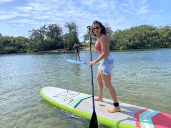 Alquiler de día completo de stand up paddleboard